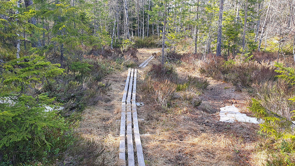 Klopper over et flatt parti 100 meter nord for toppen av Skrehelle (553).