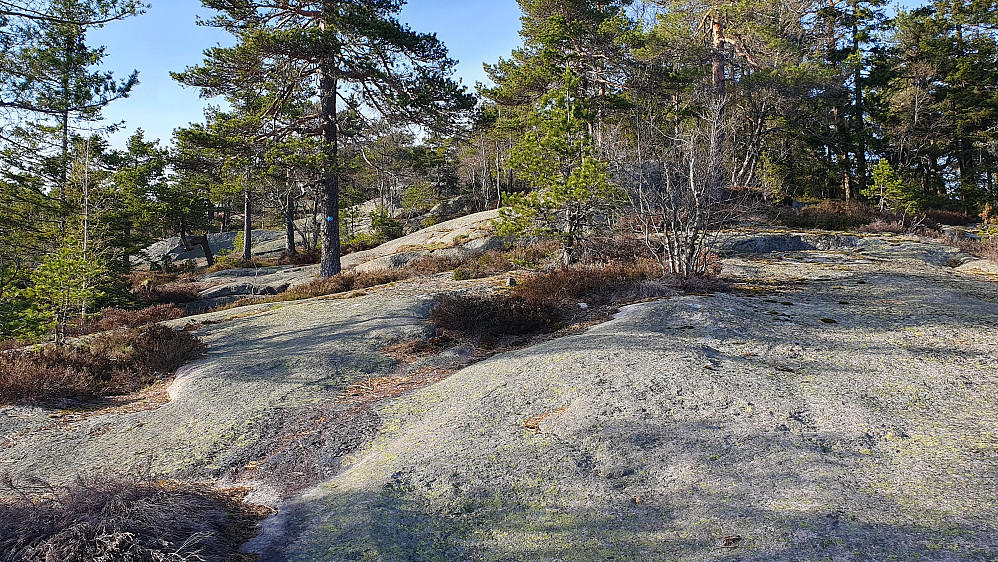 Mye svaberg oppover sørryggen på Vestre Skrehelle (536). Fint å gå her på en tørr dag som dette.