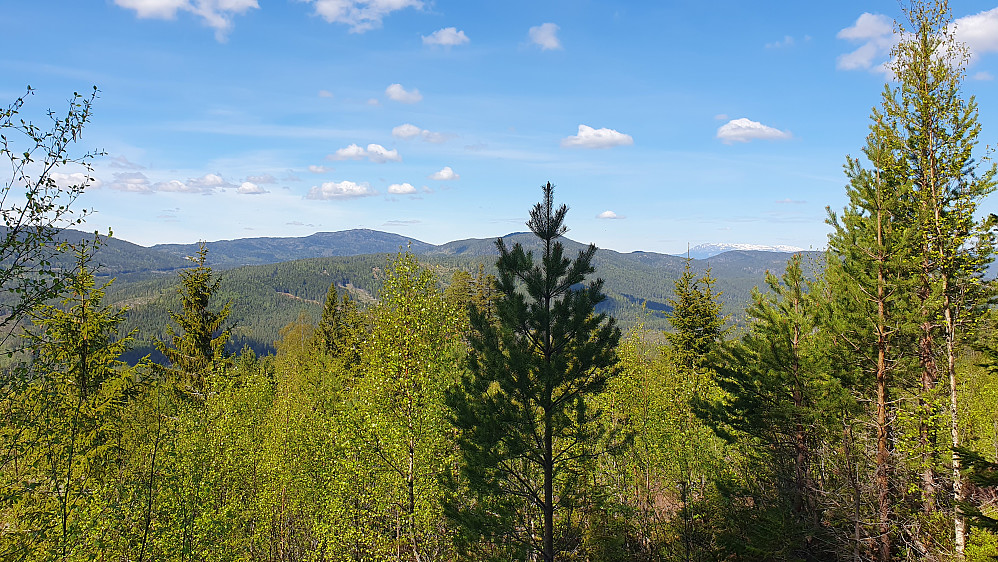 Fra stien til Kringsås (589) fikk jeg også noe utsikt i nordlig retning. Her står jeg på ca 450 meters høyde. Snødekte Blefjell ses langt bak til høyre.