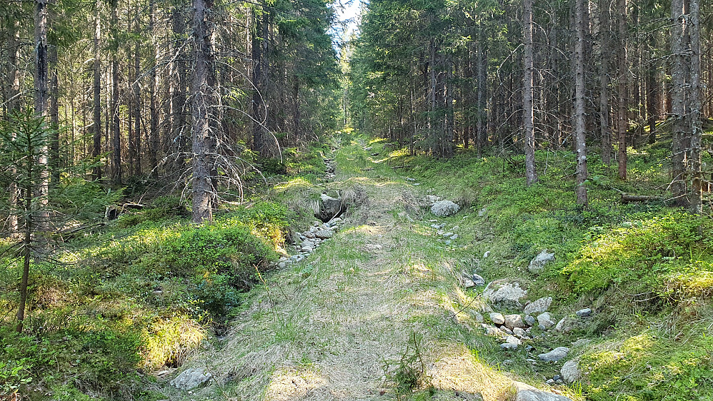Traktorveien var fin å følge et godt stykke oppover.