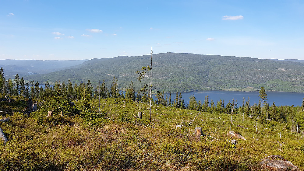 Øverst i hogstfeltet som traktorveien gikk opp til. På andre siden av Sperillen og nesten midt i bildet, er bl.a. Tannfjell (750).