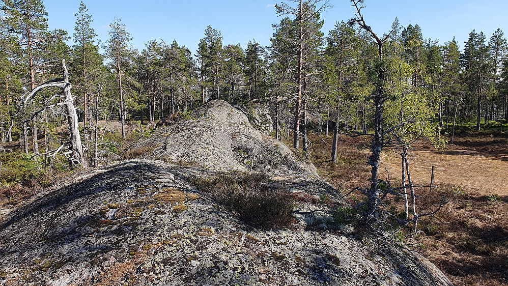 Den fine ryggen jeg fulgte på veien mot utsiktsplassen sør for toppen av Ramberget (542).