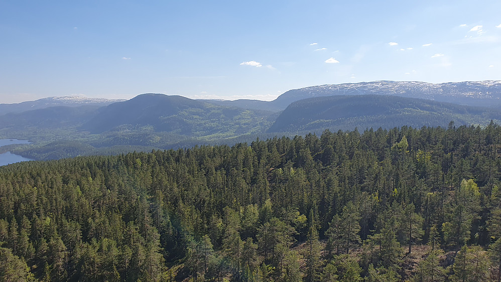 Utsikt mot sørvest fra sørstupet på Ramberget (542). På venstre side er bl.a. Høgfjell (1010) og Elsrudkollen (757). Bakerst på høyre side er Svarttjernskollen (1054).