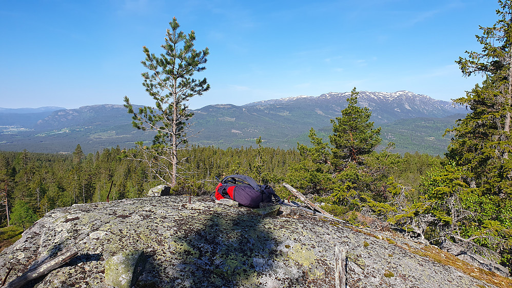 På toppen av Krigstjønnuten (609). Her med flott utsikt vestover, mot bl.a. Lifjell.
