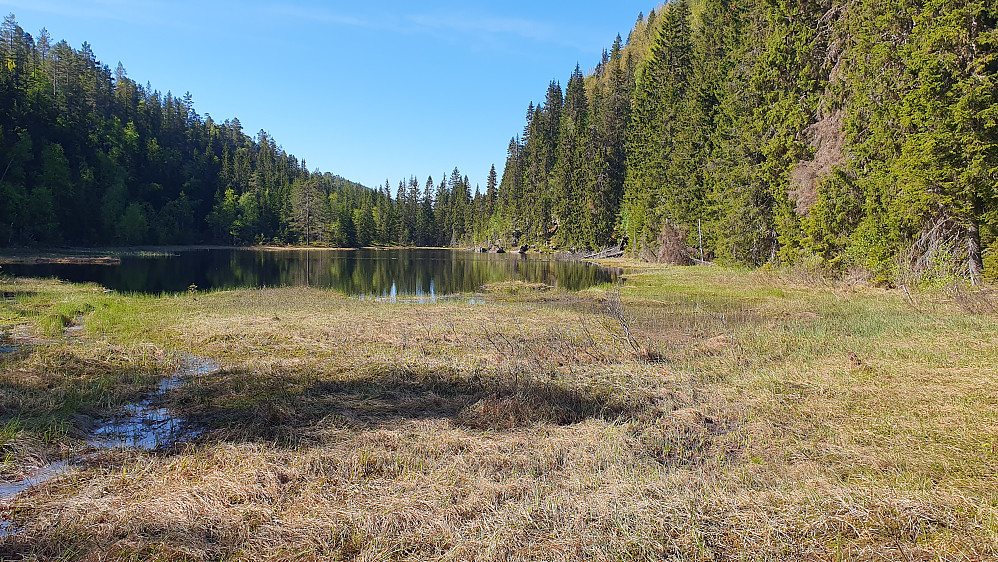 Nordligste Svarttjønn sett fra nord. Jeg står på det våte området ved nordenden av tjernet.