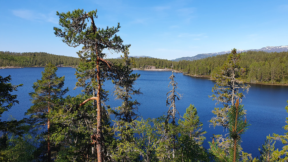 Utsikt over Solbjørvatnet. Bakerst og helt til høyre ses Lifjell.