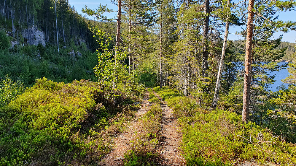Veldig lettgått og fint på kjerreveien forbi Solbjørvatnet.