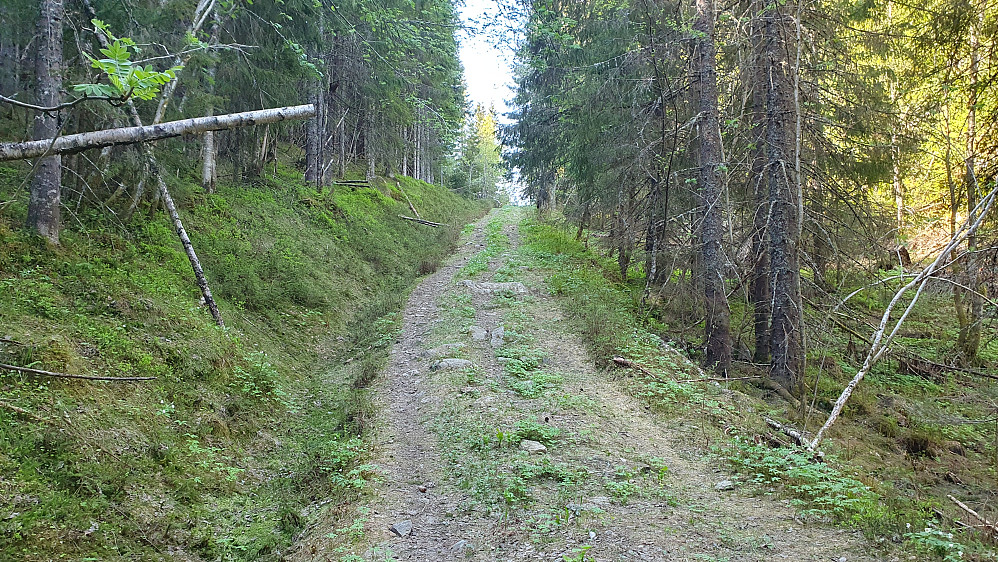Solbjørvatnet er passert, og det går oppover igjen. Ikke langt unna denne bakketoppen tok jeg til høyre og inn i skogen for å stikke oppom toppen Nordvest for Maskat (569).