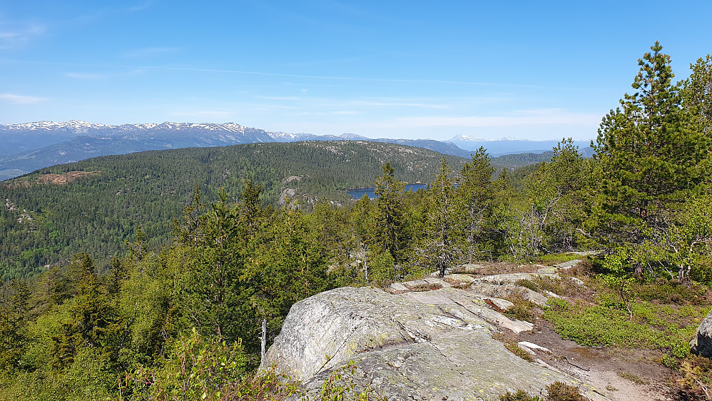 Utsikt mot nordvest fra Skåråfjell (679). Den slake og avrunda åsen midt i bildet med en del nakent berg, er Maskat (690). Langt bak og litt til høyre ses Gaustatoppen (1883).