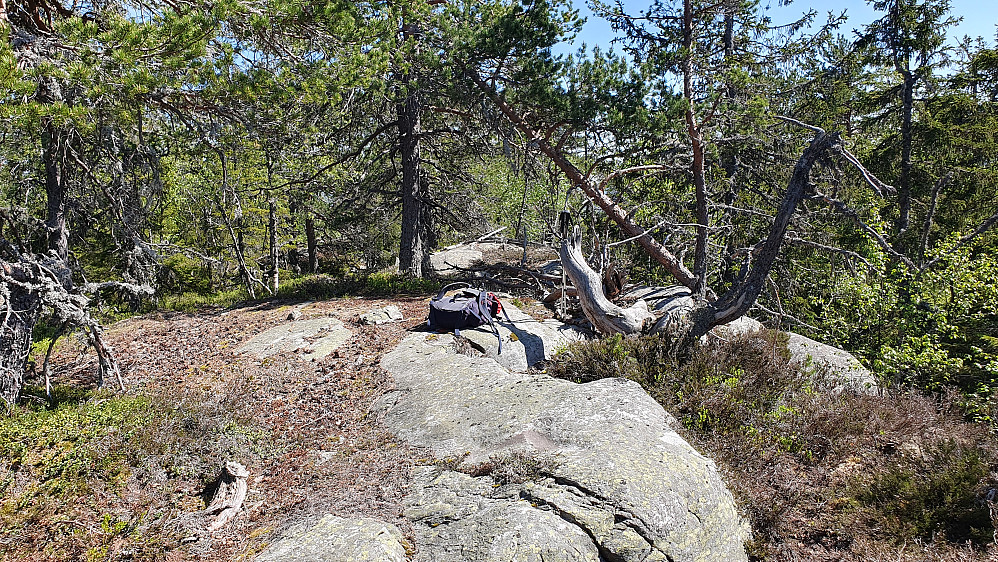På toppen av Lågmannslægeret (678).