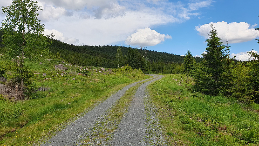 På Styggedalsveien, retning Styggedalshytta. Åsen i bakgrunnen nokså midt i bildet, er Høgflaka/Sandbekkmana.