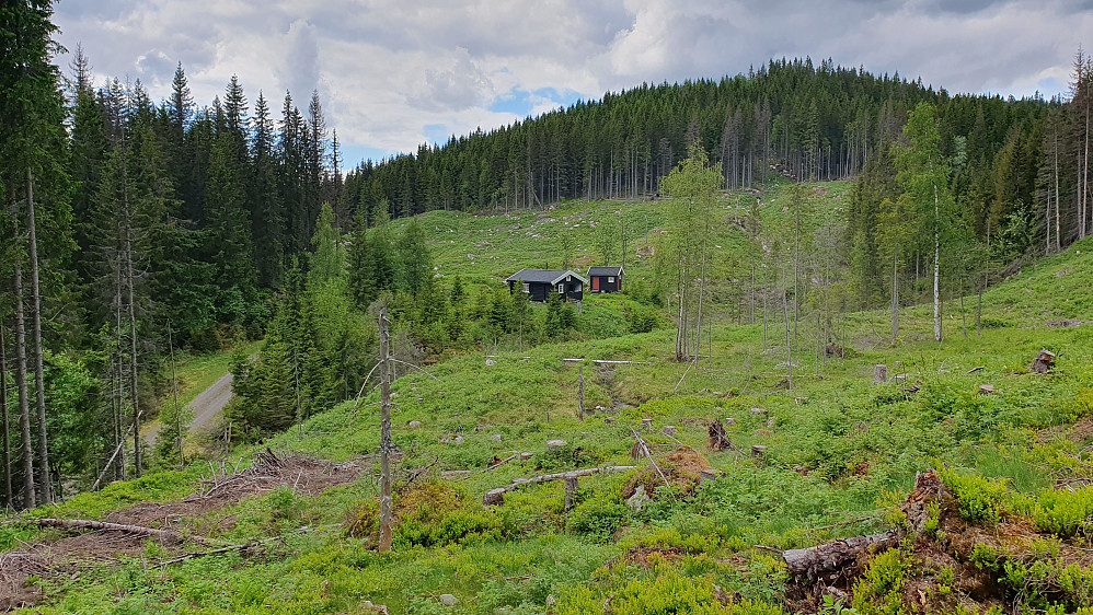 Tilbakeblikk mot Styggedalshytta, som jeg nettopp hadde passert. Veien jeg fulgte ses nedenfor til venstre. Jeg har nå gått ut i terrenget og skal straks bratt opp i skogen.