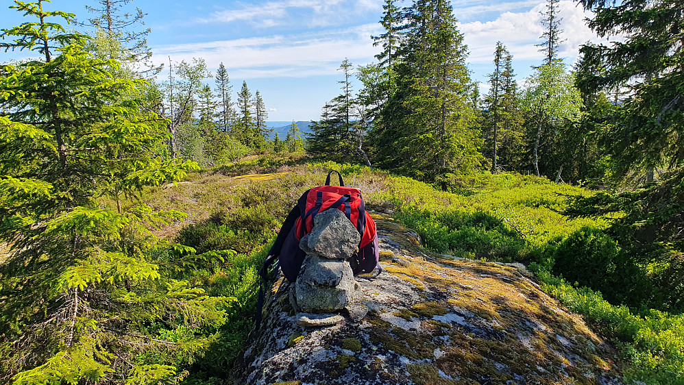 Høyeste punkt på Sandbekkmana (618) var markert med en liten varde. Bildet tatt sørover.