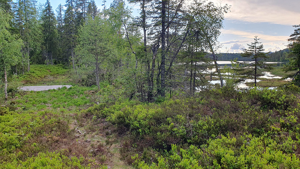 Jeg følger stien tilbake mot Haukveien. Her står jeg ved utløpet av Blekksjøen (Bleiksjøen), som er vannet til høyre.