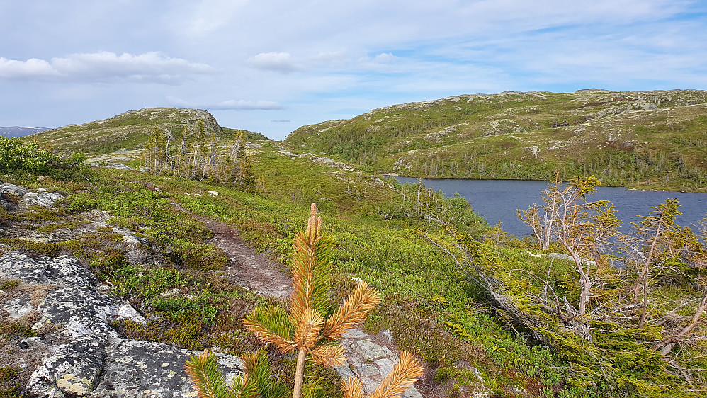 Her, på nordsiden av Skriutjenn, kom endelig sola tilbake for fullt. Toppen bak til venstre er Skriutjennatten (1037).