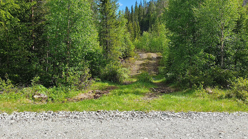 Starten på traktorveien jeg fulgte fra grusveien ved Løkjeset og oppover mot Granskardåsen (887).