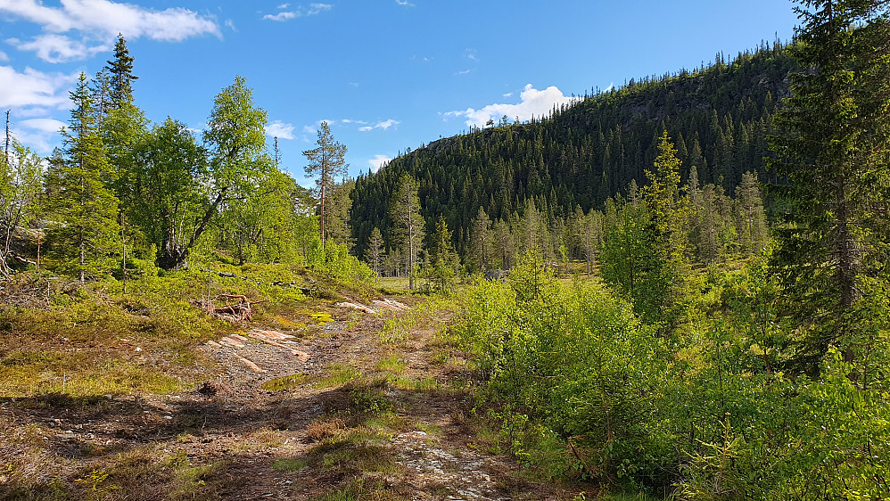 På traktorveien jeg fulgte opp mot Granskardåsen (887), som her ses til høyre i bildet.
