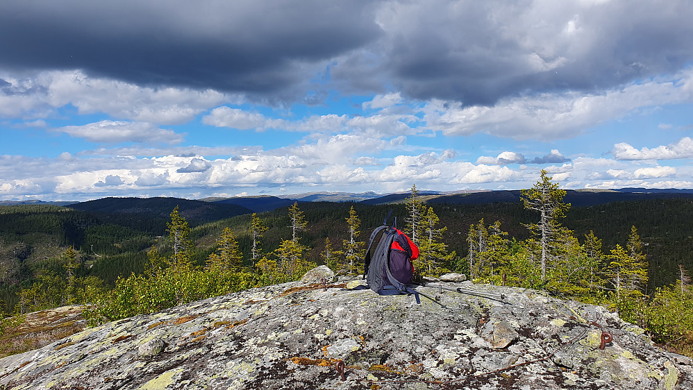 På toppen av Granskardåsen (887). Bildet tatt mot nordøst.