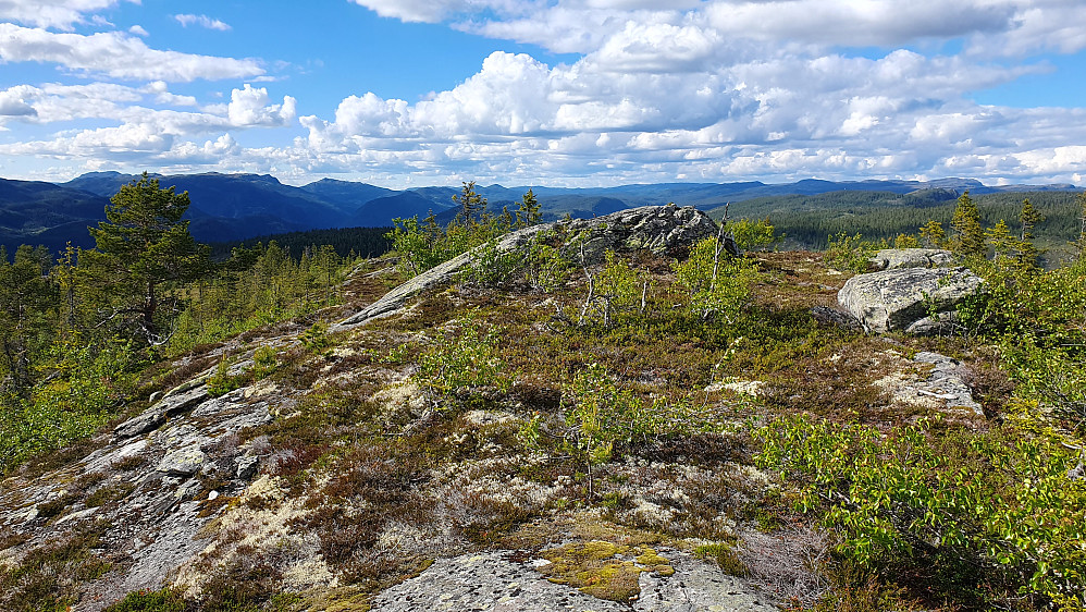 Toppunktet på Granskardåsen (887) er bergknausen noen meter lengre bak. Bildet tatt mot nord.