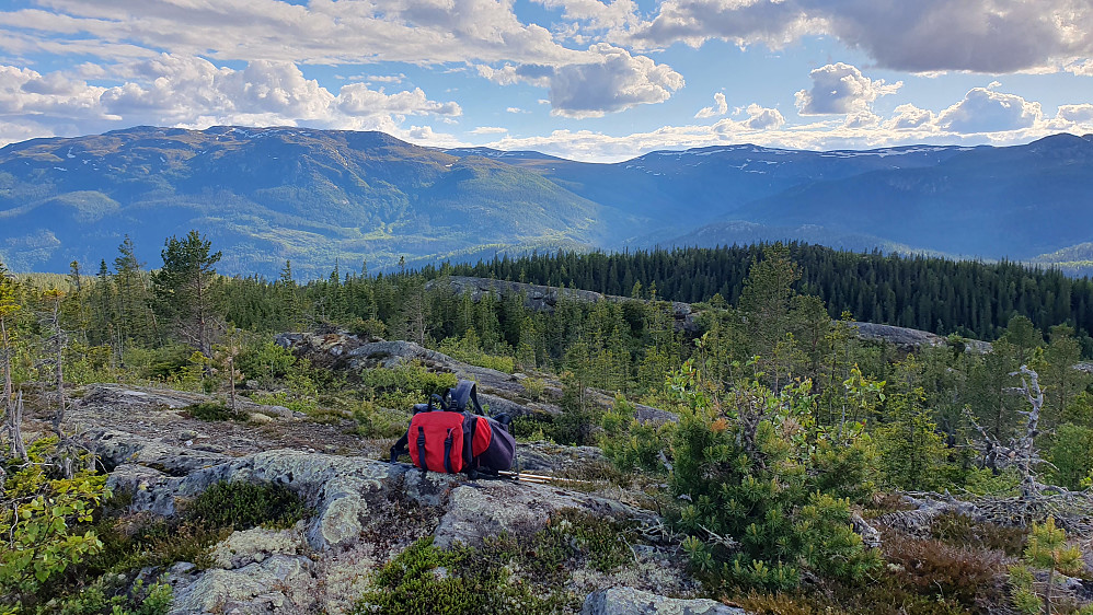 På toppen Sørvest for Granskardåsen (824). Utsikt mot V/SV. Det store fjellet bak til venstre er Eidsfjell (1333). Åsen til høyre, som er ganske nærme, er Hvålsåsen (792).