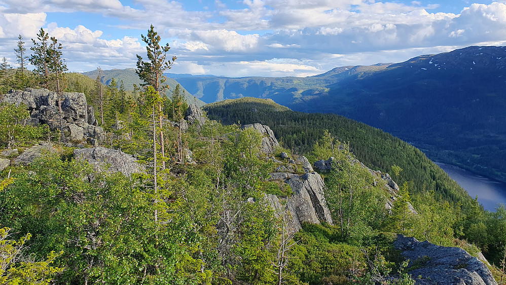 Jeg står noen meter sørvest for toppunktet på Hvålsåsen (792) og ser rett mot sør. Langt nedenfor i høyre bildekant ses litt av Frygnefjorden.