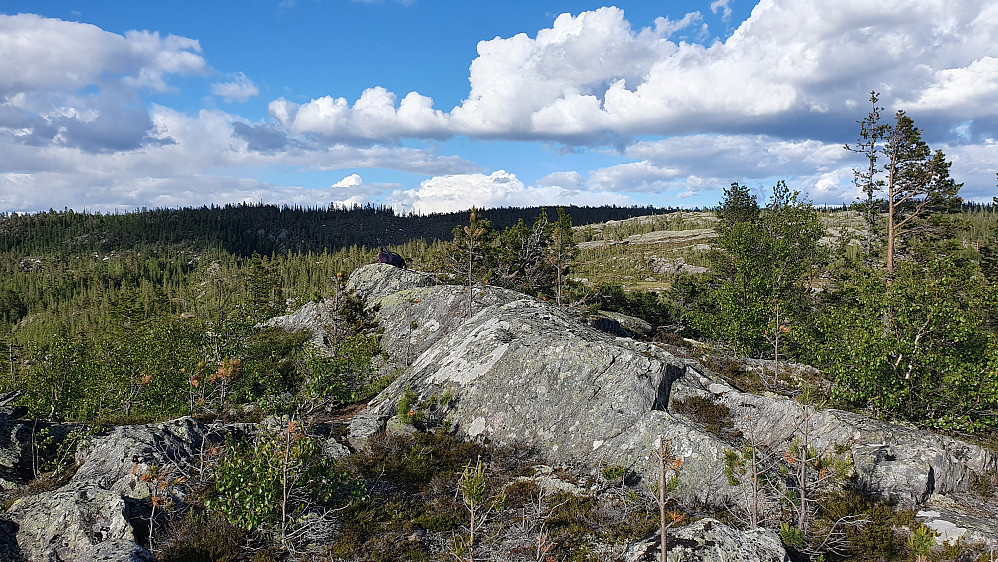 Noen meter lengre bak og litt til venstre i bildet, ligger sekken min på toppen av Hvålsåsen (792). Åsen bakerst med skygge, er Granskardåsen (887).