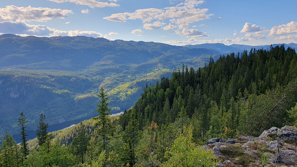 På ryggen nord for Hvålsåsen (792). Her er jeg vest for Damtjønne. Høyden litt lengre bak til høyre er Nord for Damtjønne (746), hvor det forrevne hakket er på baksiden.