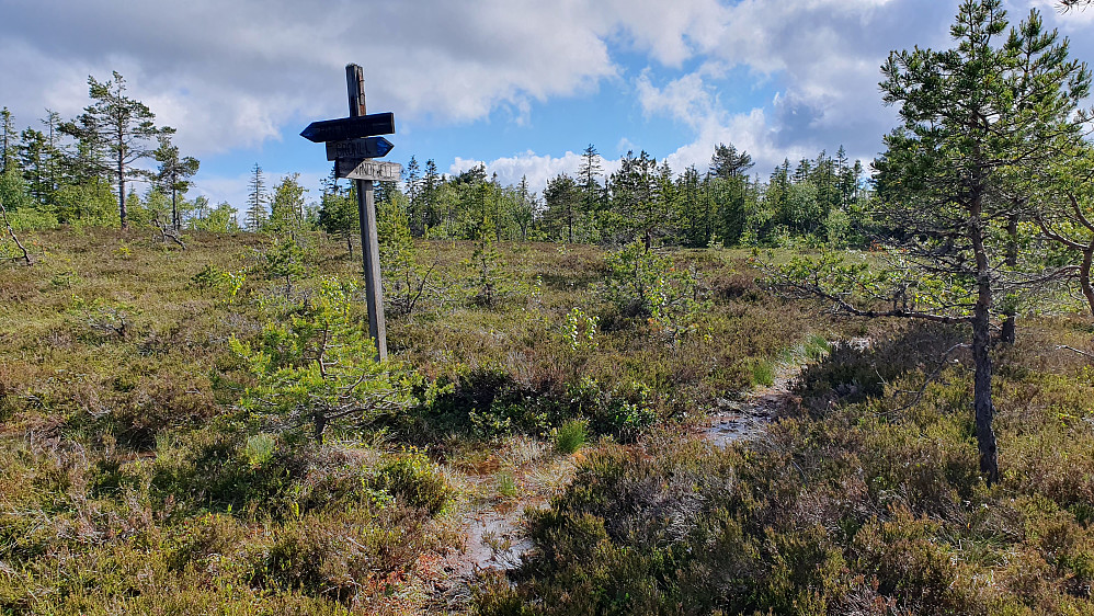 Siste stikryss like før toppen av Vindfjell (621). Her tok jeg til høyre.