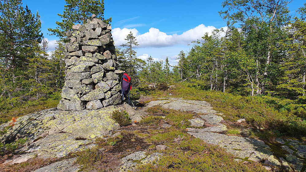 Stor og flott toppvarde på Vindfjell (621).