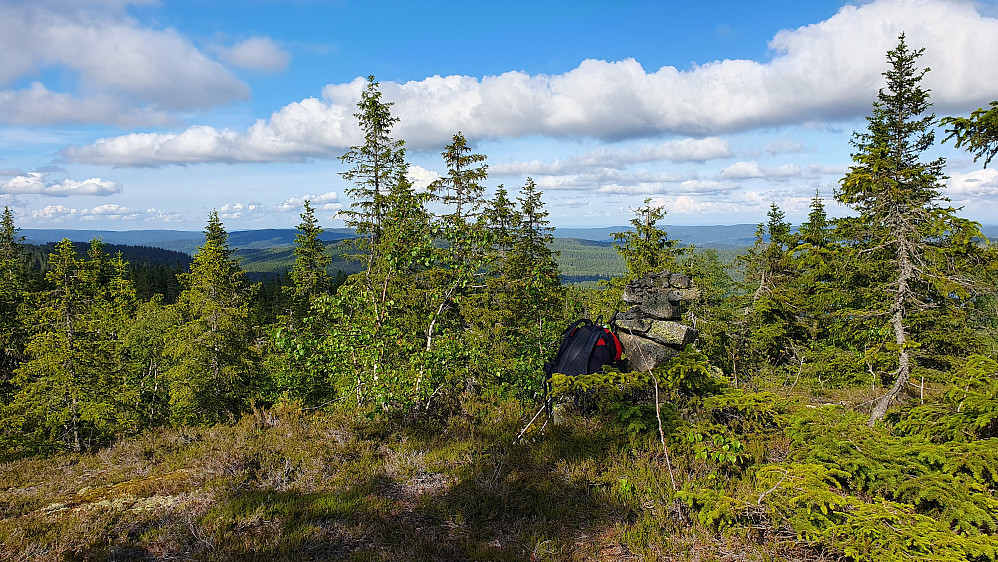 Mye mindre toppvarde her på Vindfjell Nordøst (614), men langt bedre utsyn enn på selve Vindfjell (621). Enda bedre var det noen meter sørøst for toppunktet.