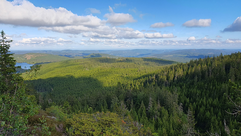 Jeg står litt sørøst for toppunktet på Vindfjell Nordøst (614). Her var det vidstrakt utsikt mot bl.a. øst/sørøst. Innsjøen helt til venstre er Breivann.