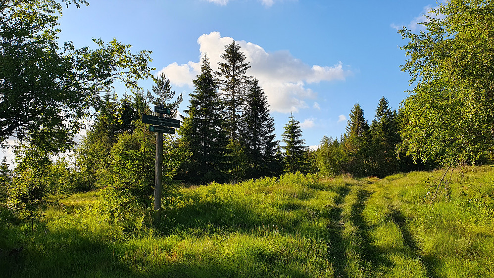 Her startet stien som går opp til Stubbekollen (617). 