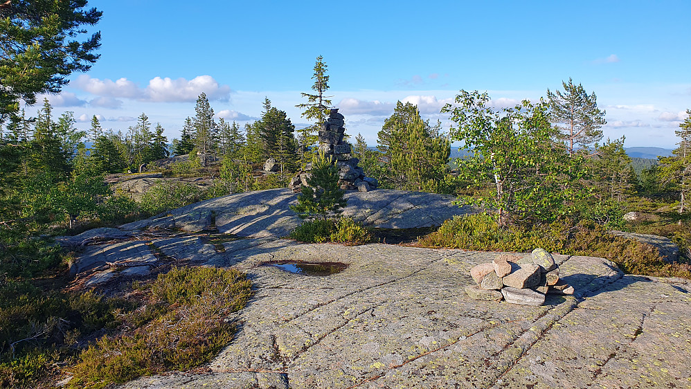 På toppen av Stubbekollen (617). Det nordøstre og litt lavere toppunktet ses ca 50 meter lengre bak til venstre.