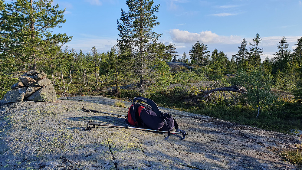 Jeg er på toppunktet ca 50 meter nordøst for selve toppen av Stubbekollen (617), som ses lengre bak og like til høyre for furua midt i bildet.