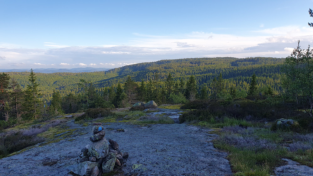 På vei ned fra Stubbekollen (617), omtrent på stedet hvor jeg tok feil sti. Utsikt mot sørøst.