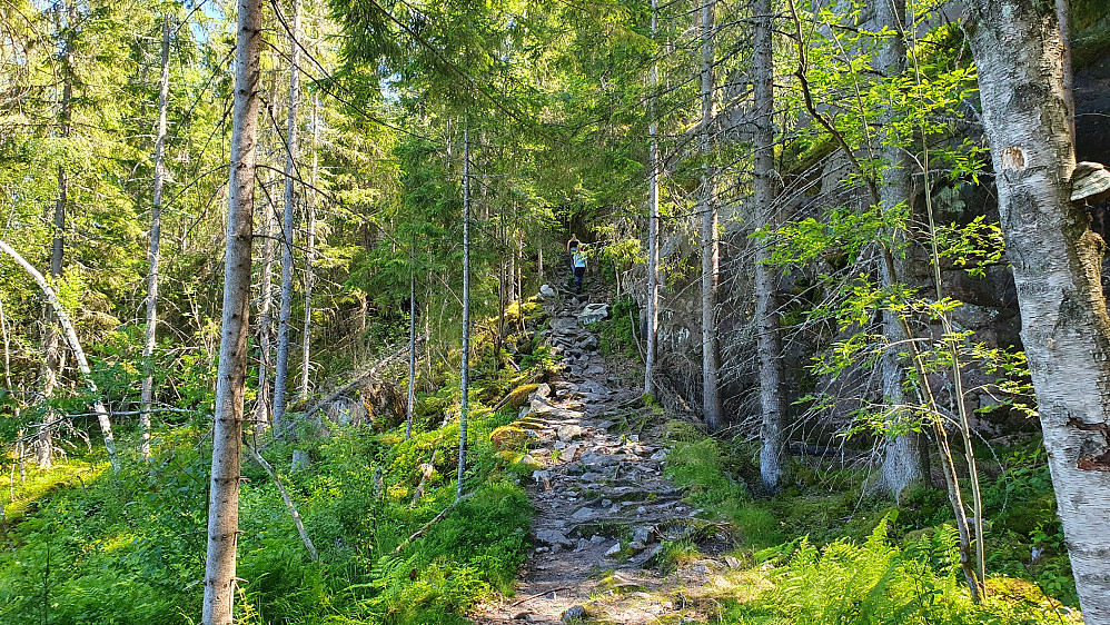 Jentene drar ifra oppover stien, som var litt mer steinete her.