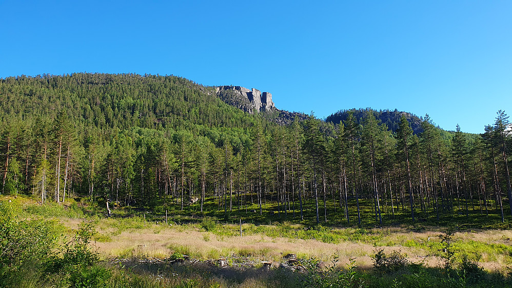 Gygrestolen/Gygrestolfjellet (490) sett fra grusveien like sør for Uvdalstjønna.