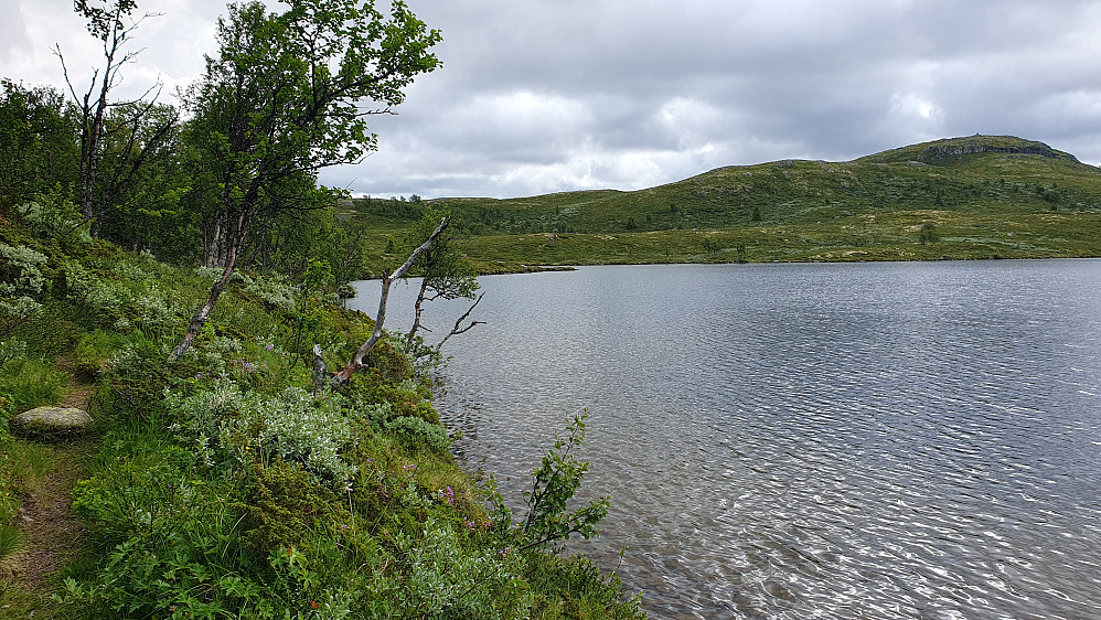 Jeg følger stien på nordsiden av Søletjønne. Bak og lengst til høyre ses Butjønnatten (1192).