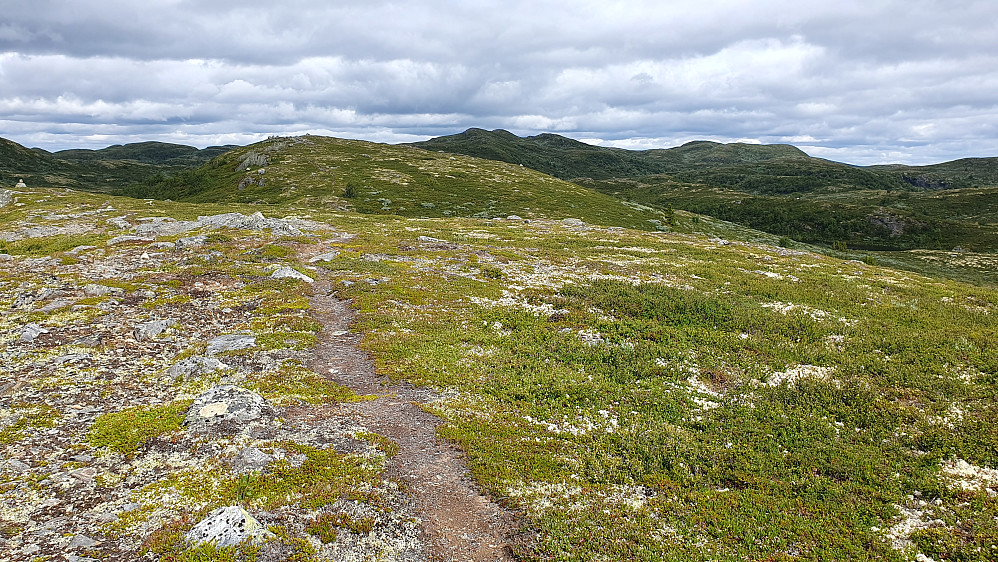 Stien jeg fulgte nordover på ryggen mellom Langvatnet og Holmevatn. Neste mål, som var Grårovnatten (1212), ses bakerst midt i bildet.