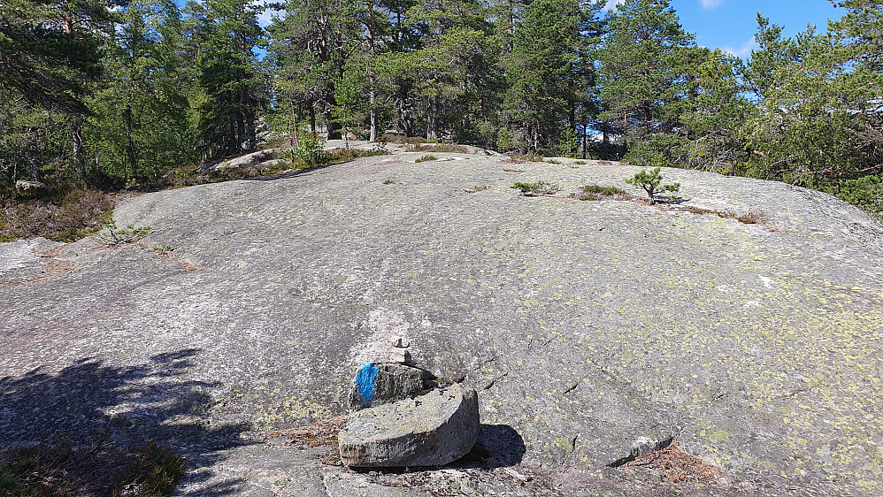Stien opp mot Fjellstulfjellet Sørøst (781) gikk flere steder på områder med sva.