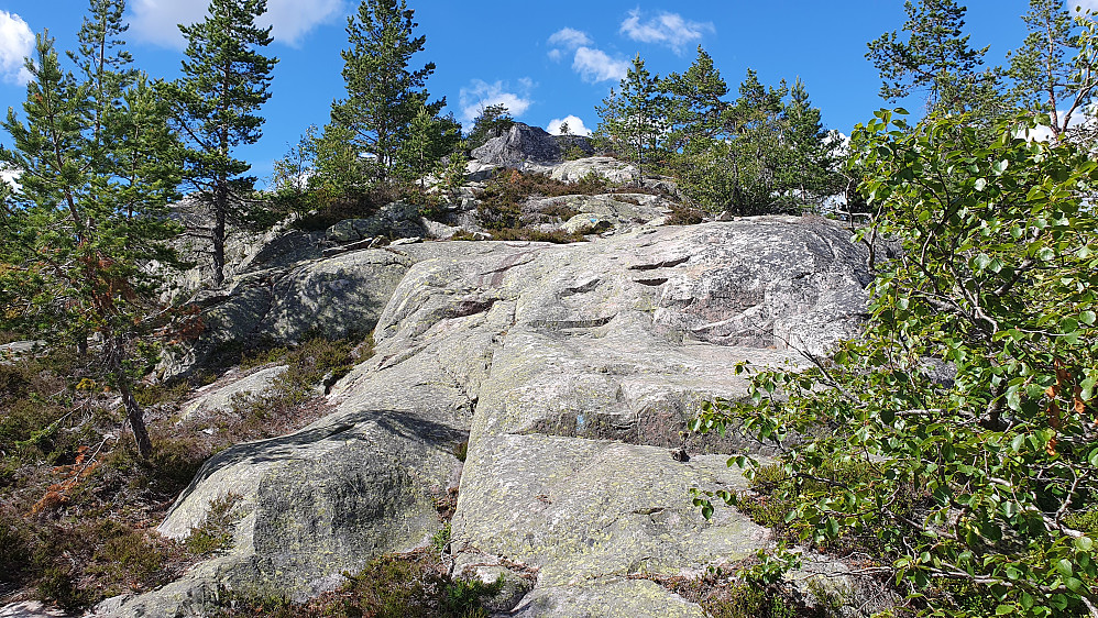 Stien opp mot Fjellstulfjellet Sørøst (781) gikk her oppover denne ryggen.