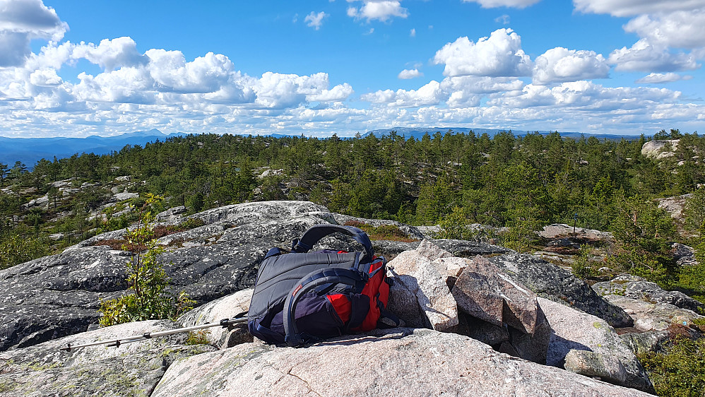 Toppunktet på Fjellstulfjellet Sørøst (781). Litt lengre bak og noe til venstre i bildet, ses høyeste topp på Fjellstulfjellet (786).