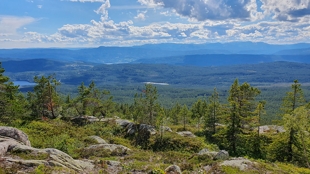 Utsikt mot vest/sørvest fra Fjellstulfjellet (786). Fjellområdet bakerst til høyre er Lifjell.