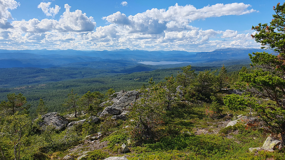 Utsikt mot nordvest fra Fjellstulfjellet (786). Det store vannet i bakgrunnen er Follsjå. Gaustatoppen rager opp langt bak nesten midt i bildet.