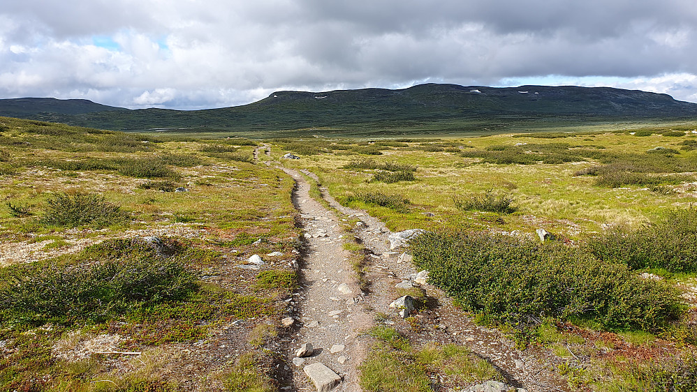 På stien mellom Tuva og Heinseter. Til høyre er Store Grønenuten (1382), som nå endelig begynner å komme nærmere.
