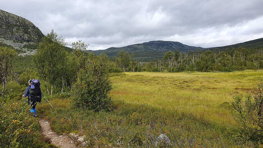 På stien litt etter at vi forlot Mogen. Toppen i bakgrunnen er Gryslehovda (1377).