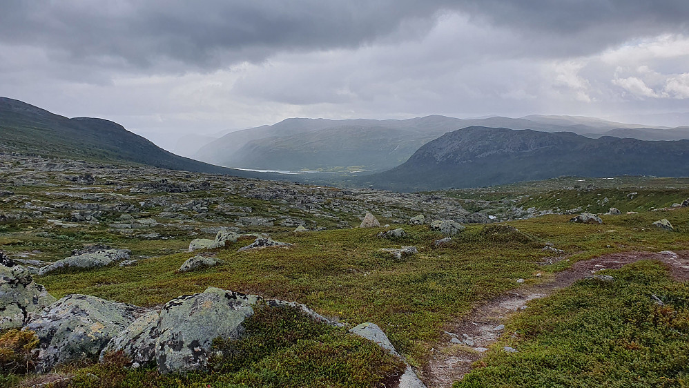 Vi er kommet opp på snaufjellet like øst for Gryslehovda, og ser tilbake mot Mogen. Nederst ser man litt av nordenden på Vinjefjorden/Møsvatn.
