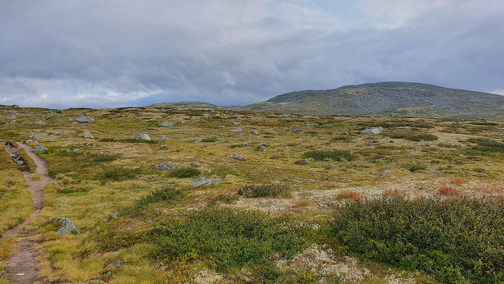 Stien vi fulgte er i forgrunnen helt til venstre. Her med tilbakeblikk mot Storhellertjønnhovda (1389), som er fjellet til høyre.