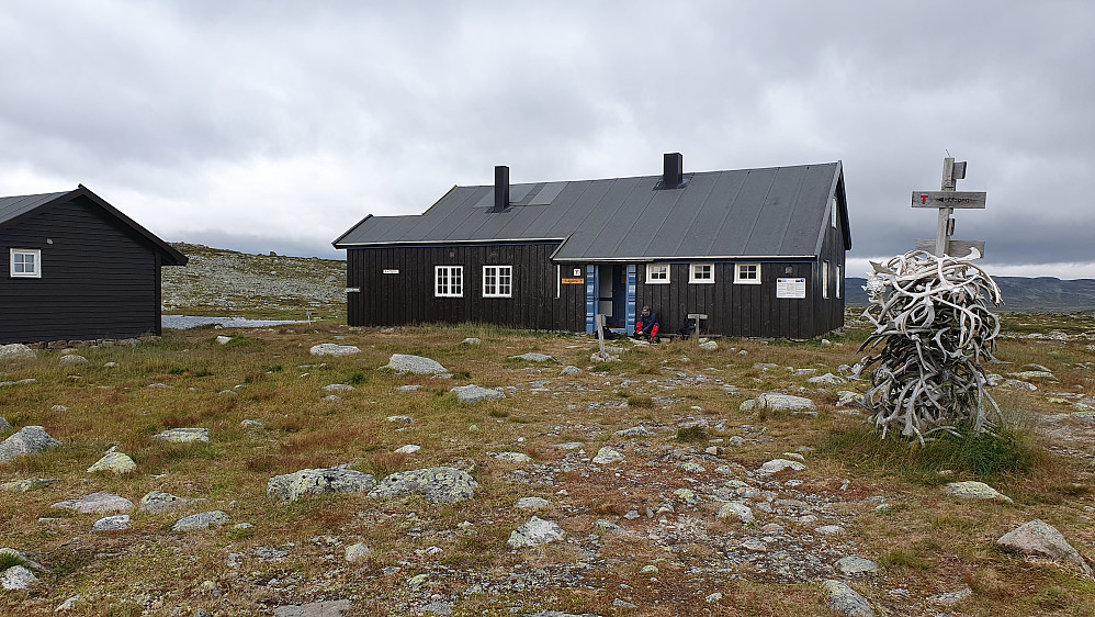 Lågaros ved turstart.
