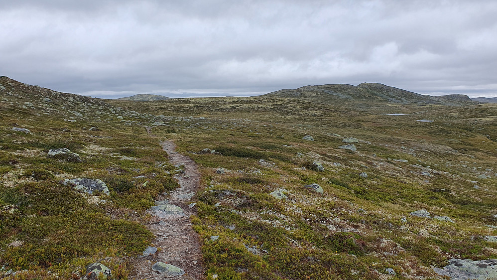 Til høyre i bildet ses Vegarhovda (1370). Toppen som stikker opp i bakgrunnen til venstre er Skjerhølnuten (1373).